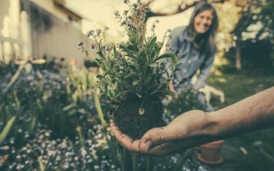 Tips And Tricks For Starting Your Own Personal Garden