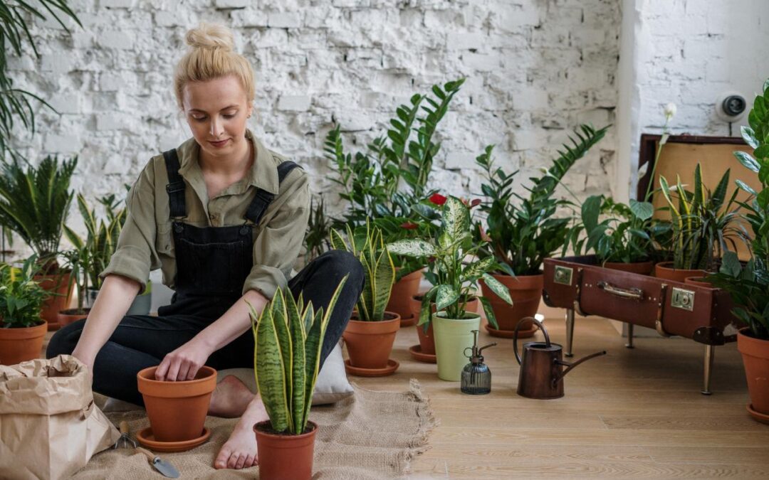 Eco-Friendly DIY Projects For The Garden
