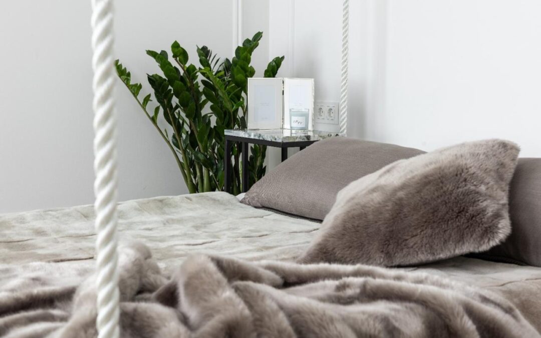 Finding Sustainable Stays For Eco-Friendly Travelers